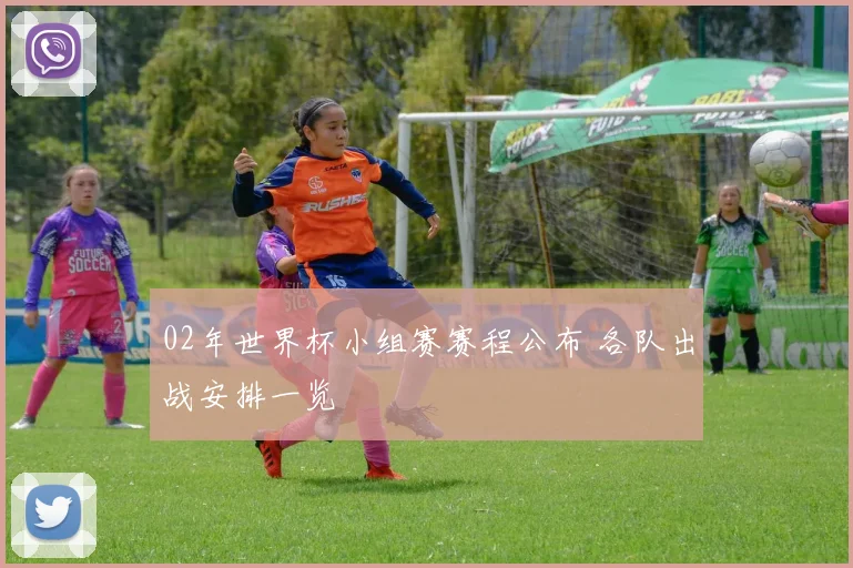 02年世界杯小组赛赛程公布 各队出战安排一览