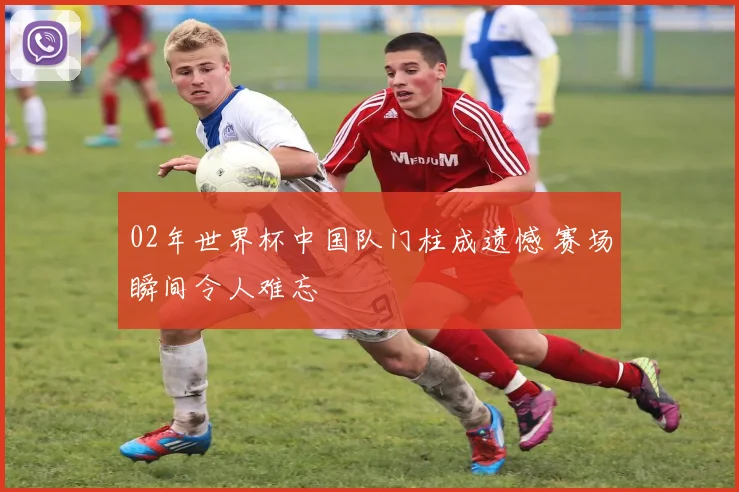 02年世界杯中国队门柱成遗憾 赛场瞬间令人难忘