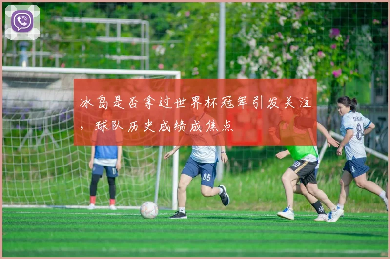 冰岛是否拿过世界杯冠军引发关注,球队历史成绩成焦点
