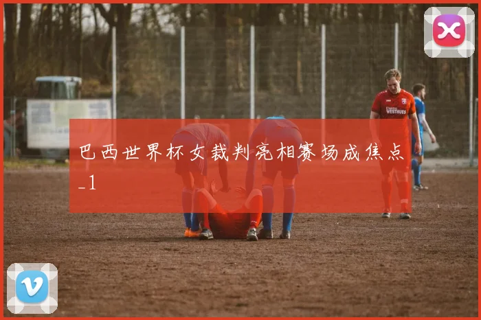 巴西世界杯女裁判亮相赛场成焦点_1